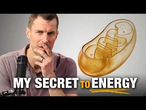 Your Mitochondria Are Starving (Here’s How to Fix Your Energy)
