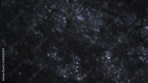 Tissue paper fibers under the microscope.