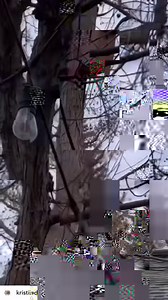 2.3K views | Canadian Wildlife Federation / Fédération canadienne de la faune on Reels | Facebook