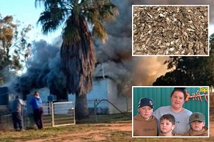 Australia mouse plague - Family homeless after rodents ‘burn house’