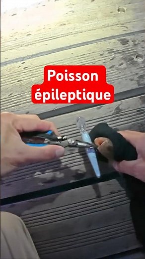 ATTAQUE FULGURANTE d’un POISSON-LÉZARD embusqué ! ⚡🐉 #pêche #fishing #poissonlézard