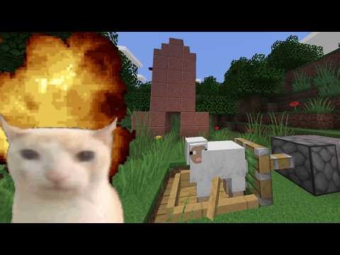 co sie dzieje