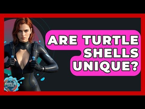 Are Turtle Shells Unique? - The Marine Life Explorer