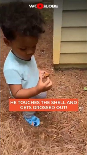 You Won't Stop Laughing at This Toddler's Snail Adventure