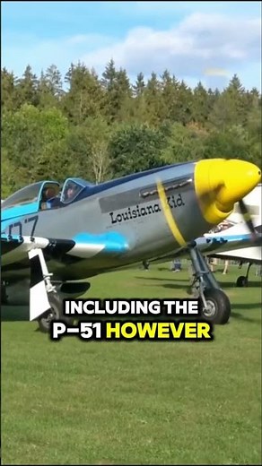 GERMAN VS AMERICAN BEAST! Messerschmitt-262 vs P-51