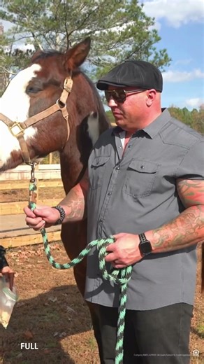 Visiting Blue Line Ponies Retirement Ranch