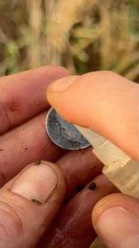 210 YEAR OLD SILVER with a Secret Story!