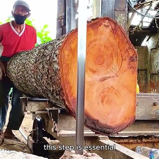 2 Revealing the Soul of Wood Through Expert Sawing Techniques #woodworking #wooddesigner