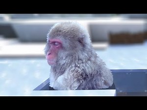 Memes for a Chill Christmas Evenings