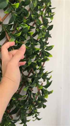 Catch it if you can! Stay refreshed with Aussie Gold Natural Spring Water pure, local, and available online for easy delivery.  Order now via our link in bio and keep that cool Aussie Gold flow going! OR Give us a call on Order now: (07) 4939 3946 #AussieGoldWater #BottledWater #YeppoonQLD #SoldOnline #stayhydrated | Aussie Gold Natural Spring Water | Facebook