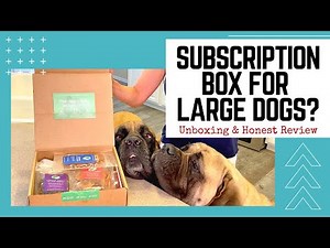 Dog Subscription Box Unboxing and FULL Real Dog Box Review For Large Dogs
