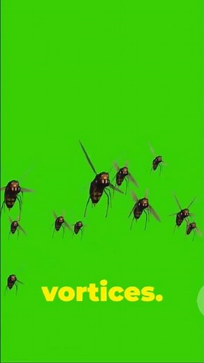 The Secret Behind How Bees Fly! 🐝 🍯