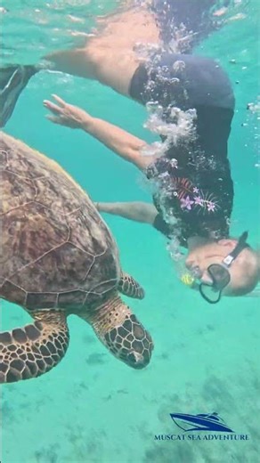 POV: Snorkeling at Daymaniyat Islands Oman 🌊🐢 | Muscat Sea Adventure Boat Tour