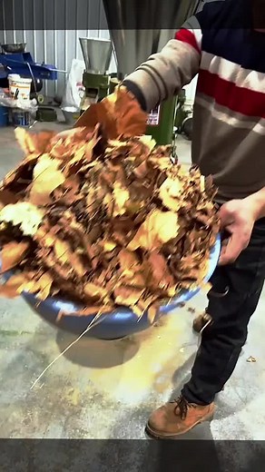 Sawdust Pellet Machine Production Line