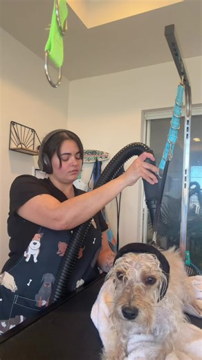 Gentle grooming = happy pets 🐾✨ Slow, calm, and stress-free care 💕 #GentleGrooming #HappyPets #DogGrooming #CalmCanine