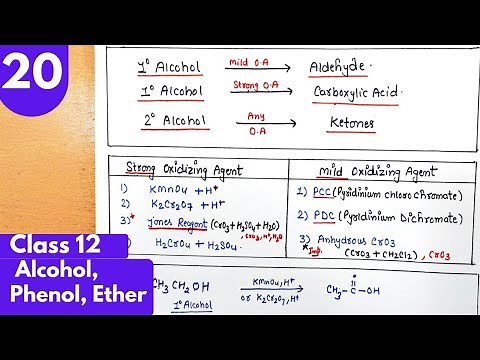 20) Oxidation of alcohols| reaction of alcohol with KMno4, Jones reagent, PCC Alcohol phenol class12