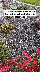 FRIDAY HAIL 4/11 12:30PM | Kathy Gallo just sent us this video of small hail in Dandridge. Cold air just above the surface will make more small hail possible with the showers and isolated storms today but it shouldn’t be anywhere nearly as impactful as what we had last night. | Meteorologist Cassie Nall