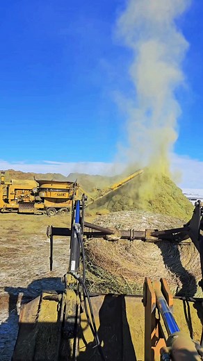 200K views · 884 reactions | Grinding hay for the cows with our Jones Mighty Giant. We can Tailor the cattle feed to their specific requirements at any given moment. #farm #cow #farmlife #equipment Jones Manufacturing Co. | 1HandnFarming | Facebook