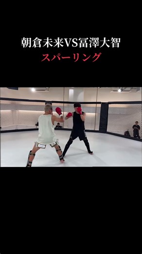 朝倉未来と冨澤大智のスパーリング対決
