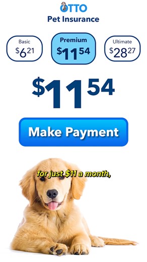 I can't believe OTTO actually exists | OTTO Insurance