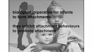 Understanding Attachment Theory - The biological imperative