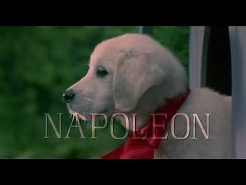 Napoleon - Full Movie (1995)