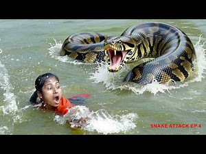 Giant Python Attacks Hunters : Real Life Horror 4 !