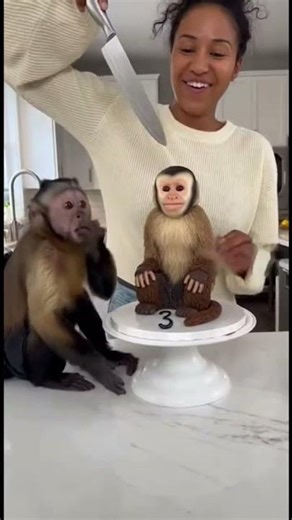 Monkey Freaks Out, Monkey Shaped Cake! 🍰🐒🤣 #monkey #shorts #funny #cake
