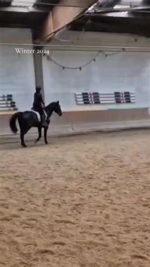Training Tips for Dressage Riders in Winter 2024