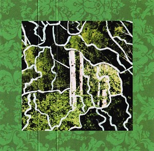 Bruiser And Bicycle - Woods Come Find Me