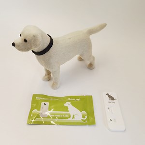 [Hot Item] Pet Healthcare Civ Canine Influenza Virus AG Pharyngeal/Nasal Secretions Rapid Test