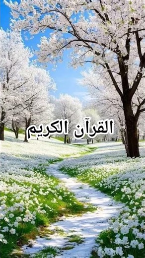 QURAN URDU TRANSLATION.......