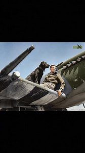 Wing Commander J. E. Johnson, leader of No. 144 (Canadian) Wing RAF, resting on the the wing of his Supermarine Spitfire Mark IX with his Labrador retriever Sally, between sorties at B2/Bazenville, Normandy. July 31, 1944. #ww2 #military #aviation #aircraft #pilot | World War II Aircraft