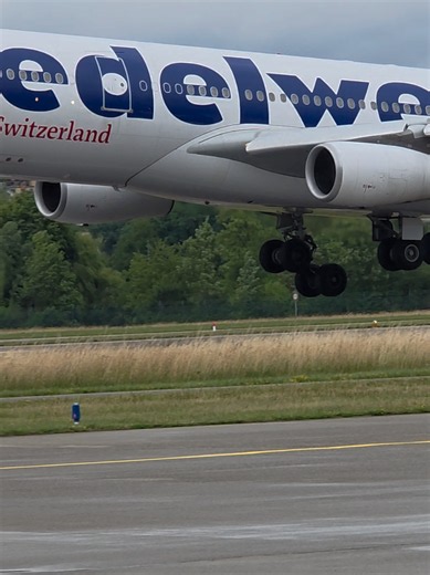 Airbus A340-300 Edelweiss Landing at Zurich Runway 28