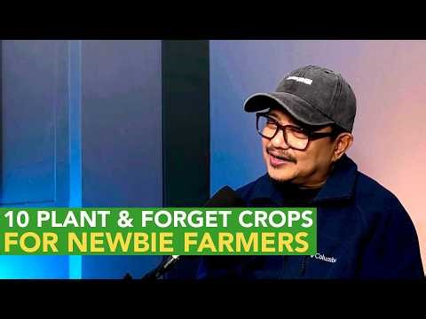 10 Plant and Forget Crops:Maliit ang Puhunan, Mataas ang Presyo at Laging may Demand