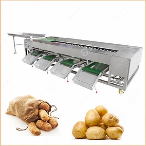 Achieve Precision Potato Size Sorting Machine