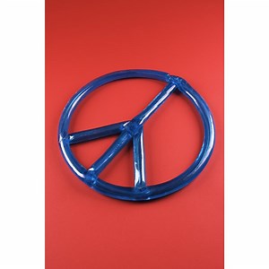 The Rebellion of the Youth in the 1960s | Synonym