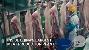 Inside China's largest meat production plant