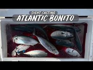 THEY'RE HERE! First Schools of Atlantic Bonito | NON-Stop Action | Salty Affairs Sportfishing.
