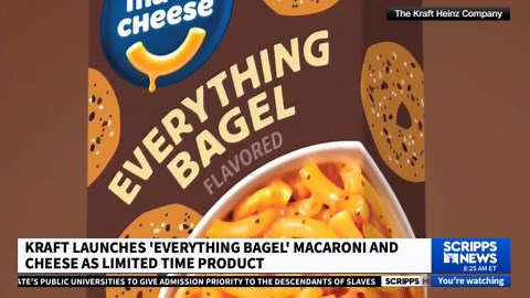 New Everything Bagel Kraft Mac & Cheese at Walmart