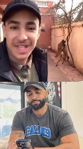 26K views · 271 reactions | Listen Fam!! Stop getting a working dog breed, then rely on your local Petco training to get control of your aggressive dog! Make sure to train your dog separately until their obedience is absolute, then train together to ensure you have full control 100% of the time! #calik9 #dogtraining #dogtrainer | Cali K9 | Facebook
