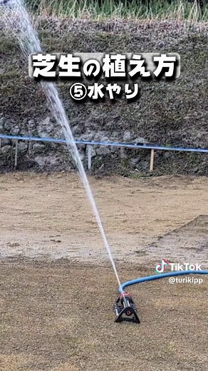 芝生の植え方ガイド：簡単5ステップ