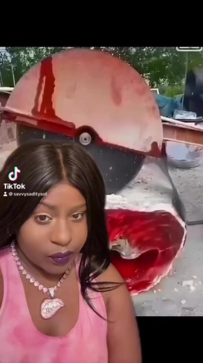 #giants #petrified #petrifiedwood #stone #crystals #himalayansalt #himalayan #himalayas #himalayansalt #bigfoot #bigfootisreal