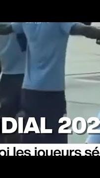 Mondial 2026: les joueurs sénégalais contrôlés sur le tarmac d'un aéroport, la fédération réagit
