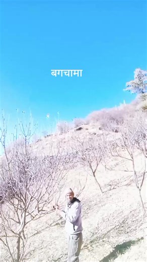 Pream Nepali (@pream.nepali1)’s videos with original sound - Bisho Raj Khatri