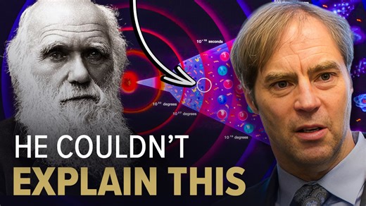 9.8K views · 158 reactions | Stephen Meyer examines the unresolved challenges in Darwin’s evolutionary theory, focusing on the sudden appearance of complex life in the Cambrian explosion and the intricate information encoded in DNA. He argues these gaps point to a design hypothesis Darwin himself might have considered. | John Anderson AC | Facebook
