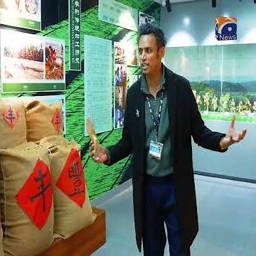 Which herb became the hallmark of China? - #geocheenmein #documentary #muhammadjunaid