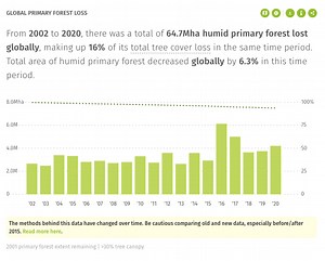 These are the 10 key actions needed to save the Amazon rainforest, say scientists