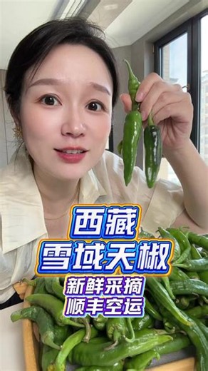 盼了两年的西藏雪域天椒终于可以上了！ 产自雅鲁藏布江边高原牛角小辣椒，天然花青素，高原昼夜温差大，营养远超普通辣椒，不管辣椒炒肉还是清炒都绝了，市面很难买到！点击下方小黄车，千万别错过！！！#丝路美食 #诸葛妍 #西藏雪域天椒