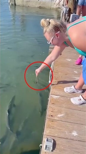 Dangerous Feeding Mistake #FactTokBuzz #viralvideo #trendingnow